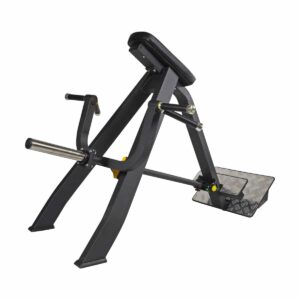 Station rowing t-bar row machine en acier à charge libre Titan 14 T Bar Row
