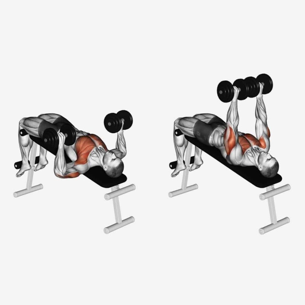 Exercice ecartes declines aux halteres