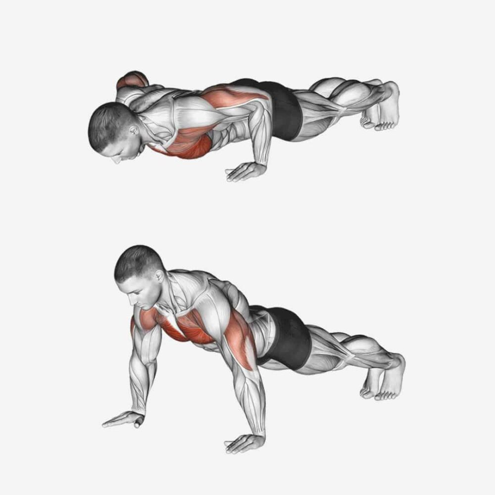 Exercice pompes