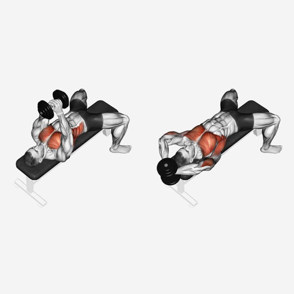 Exercice pullover musculation