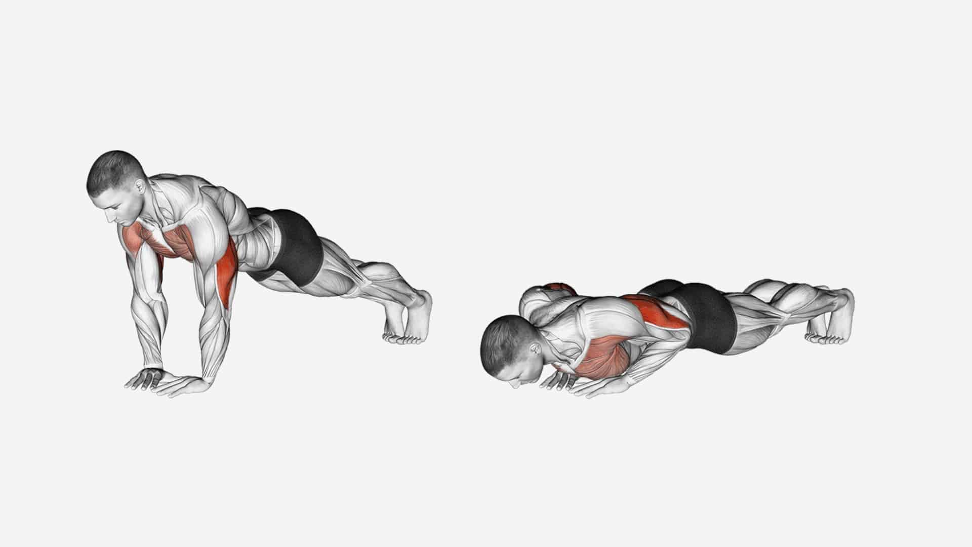 5 exercices pour muscler ses triceps | Conseils sportifs | GladiatorFit