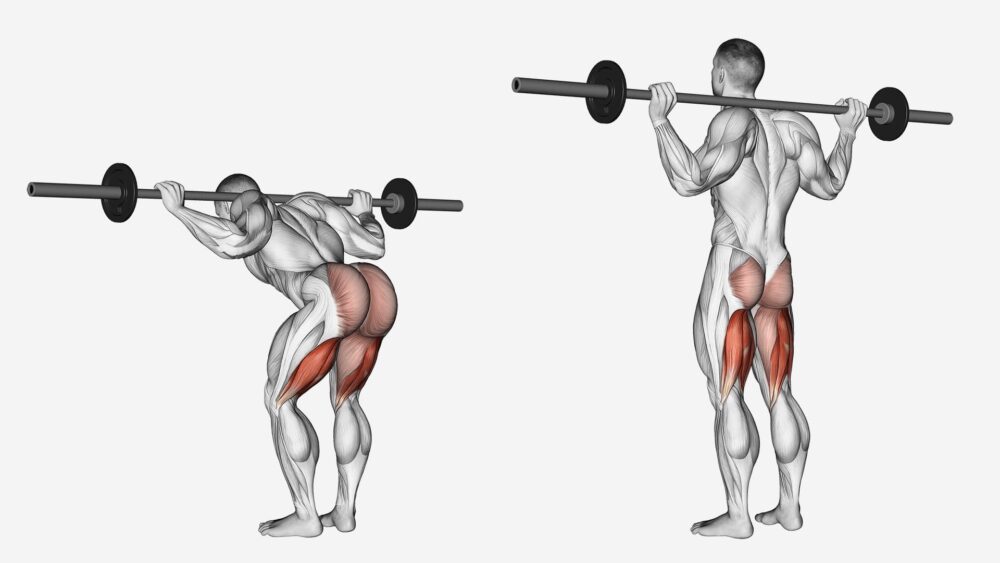 Le good morning en musculation
