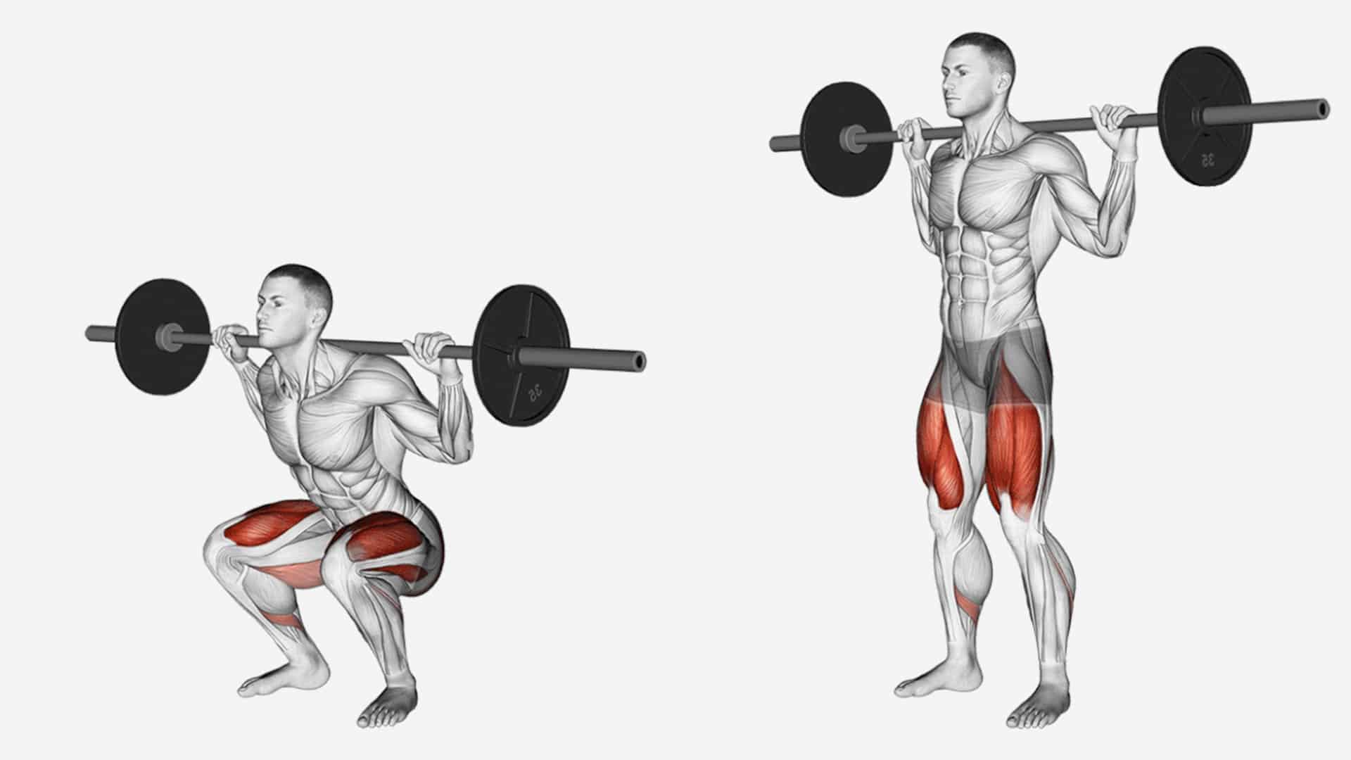 9 Meilleurs Exercices Grand Droit Barre De Musculation [Vidéo] – WMPVD