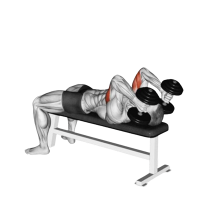 extension triceps halteres