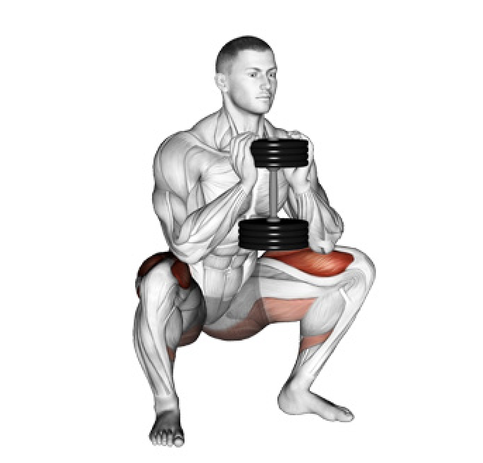 goblet squat 1