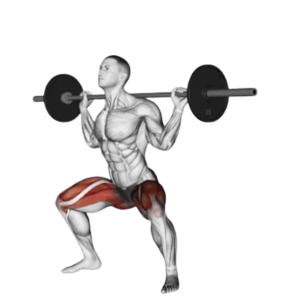sumo squat