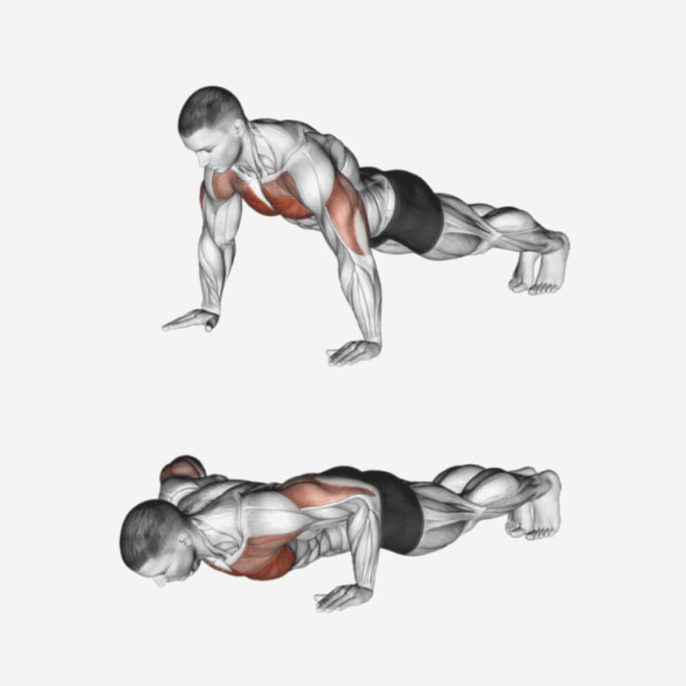 Exercice bras pompes