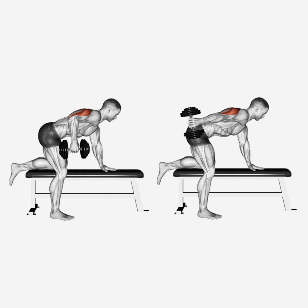 Exercices bras Triceps kick back