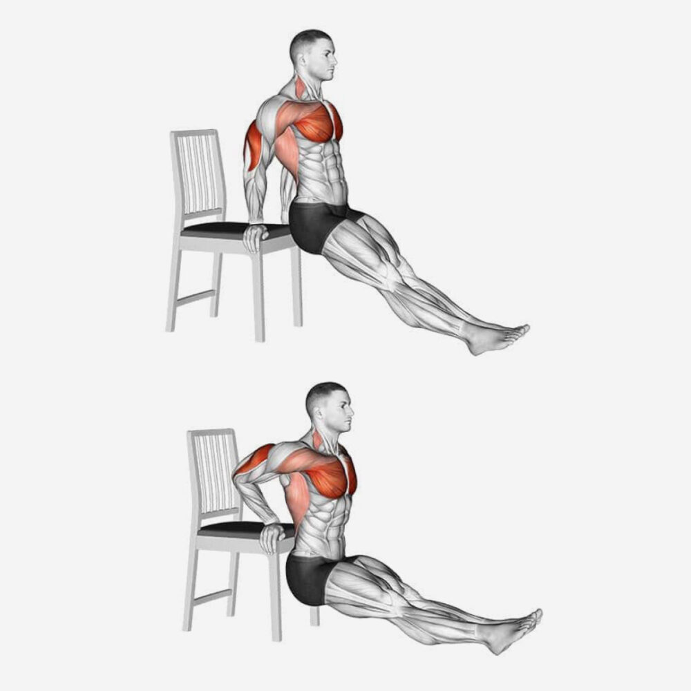 muscler les bras dips chair