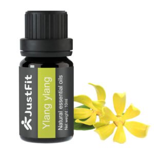 ylang ylang3
