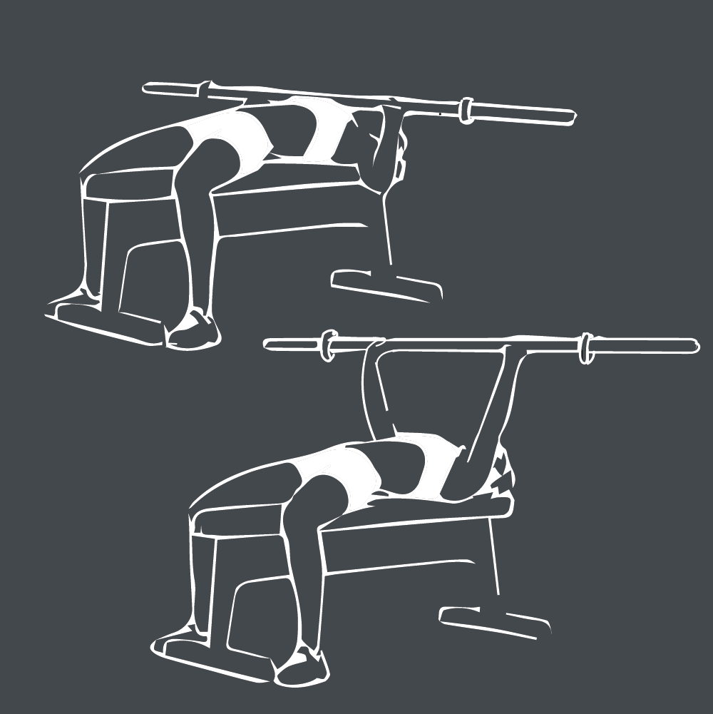Prise de Masse Musculaire : Conseils et Techniques 21 Bench press