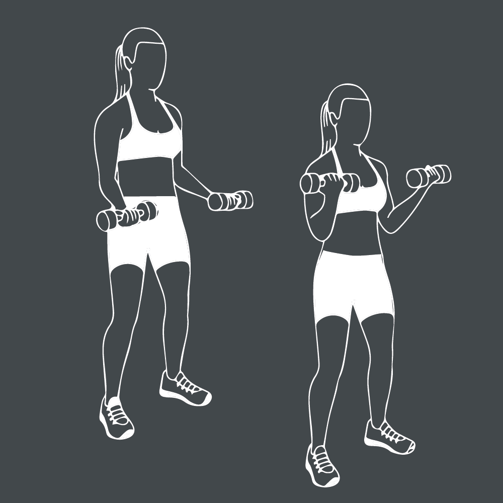 Prise de Masse Musculaire : Conseils et Techniques 28 Bicep Curl