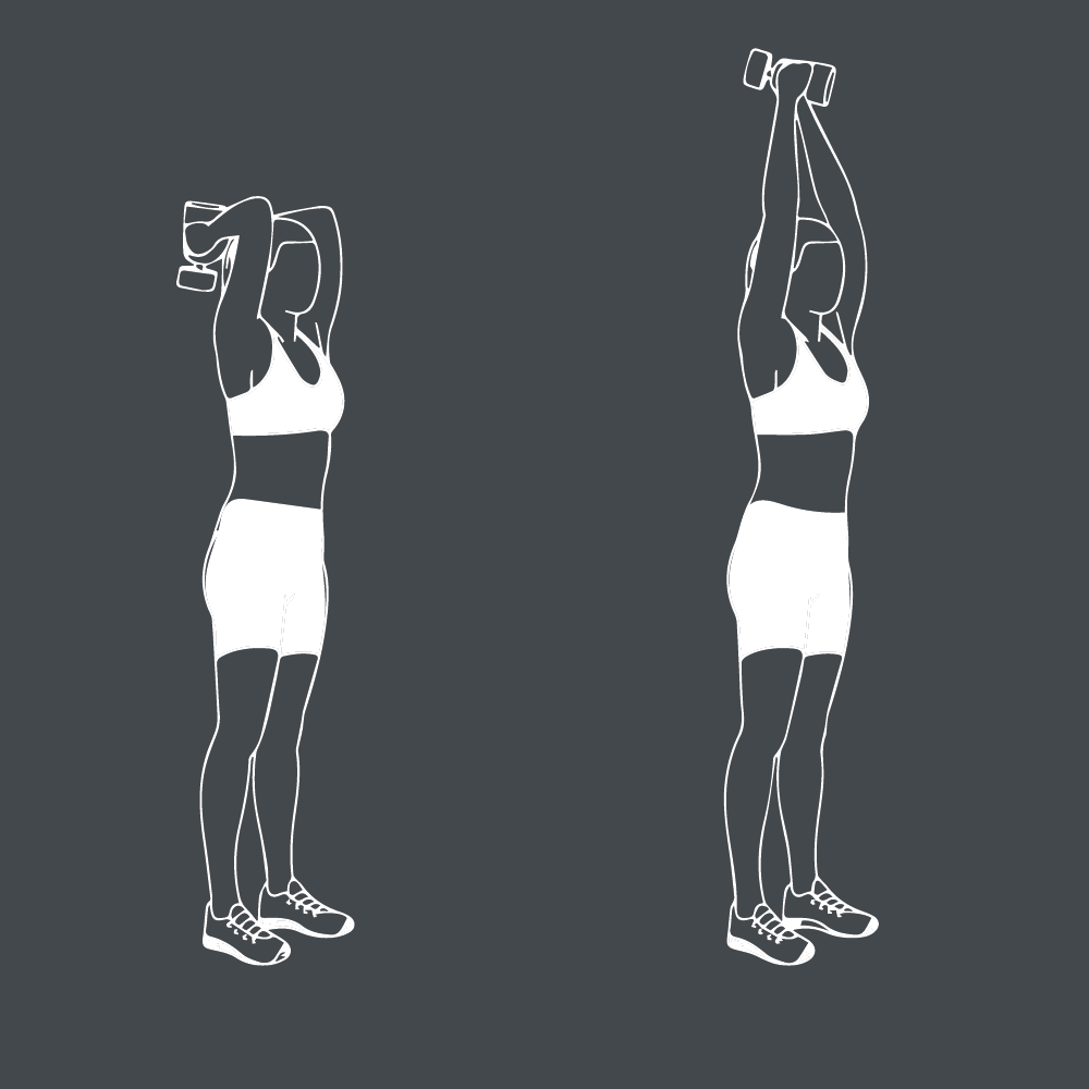 Prise de Masse Musculaire : Conseils et Techniques 29 Tricep extension