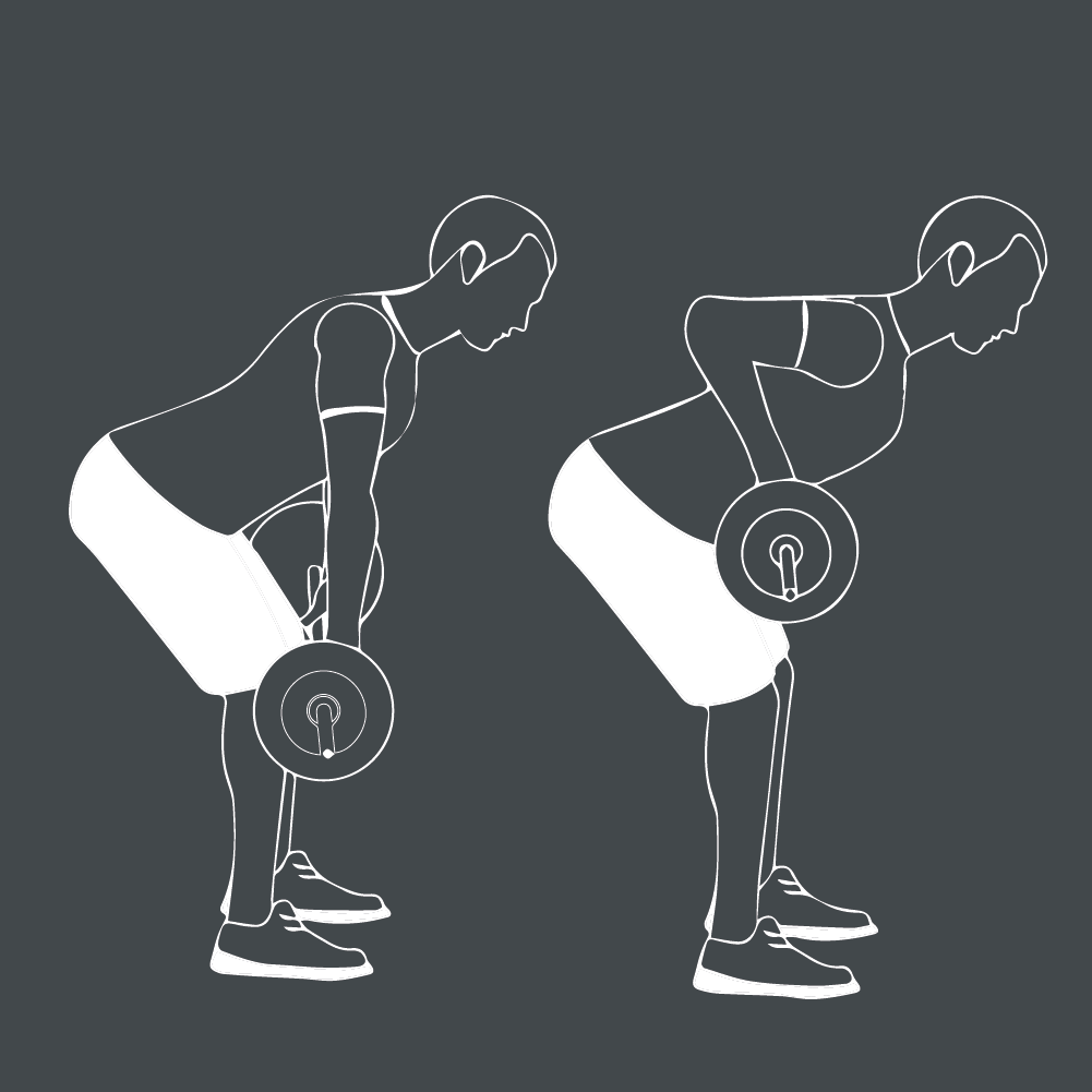 Prise de Masse Musculaire : Conseils et Techniques 24 barbell row 13