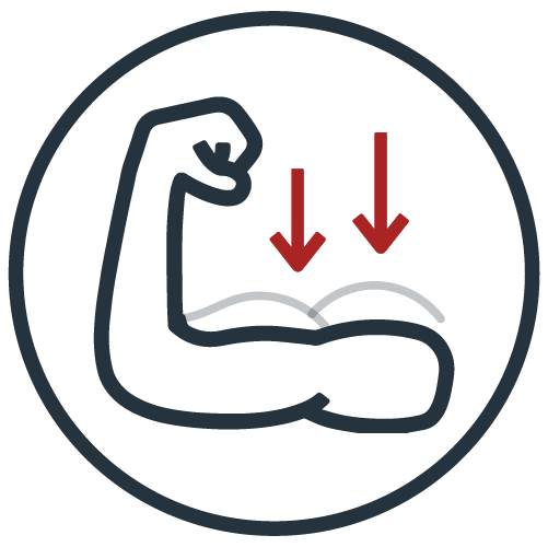 Prise de Masse Musculaire : Conseils et Techniques 4 icons muscles 02