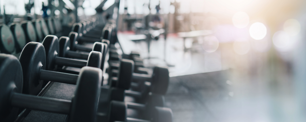 Gym Equipment 1