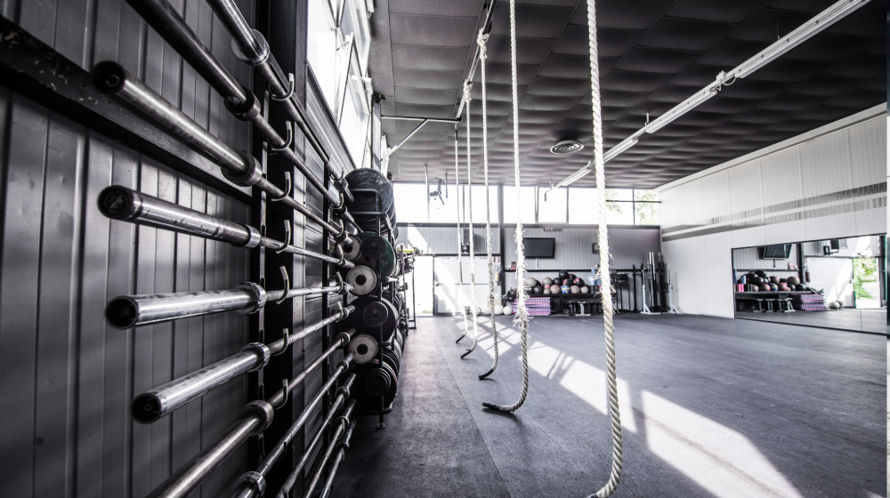 Muscluation Equipment 1