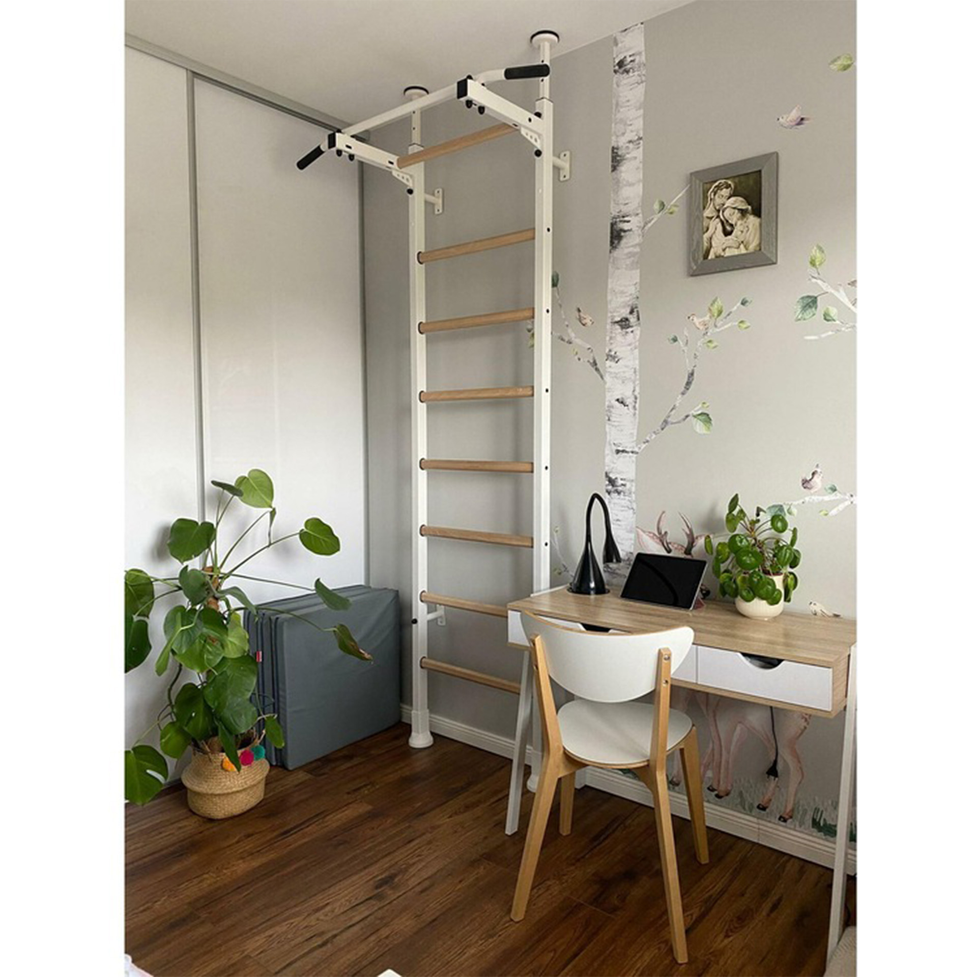 BenchK con barella da 521W 5 Espalier 521W BenchK 41909