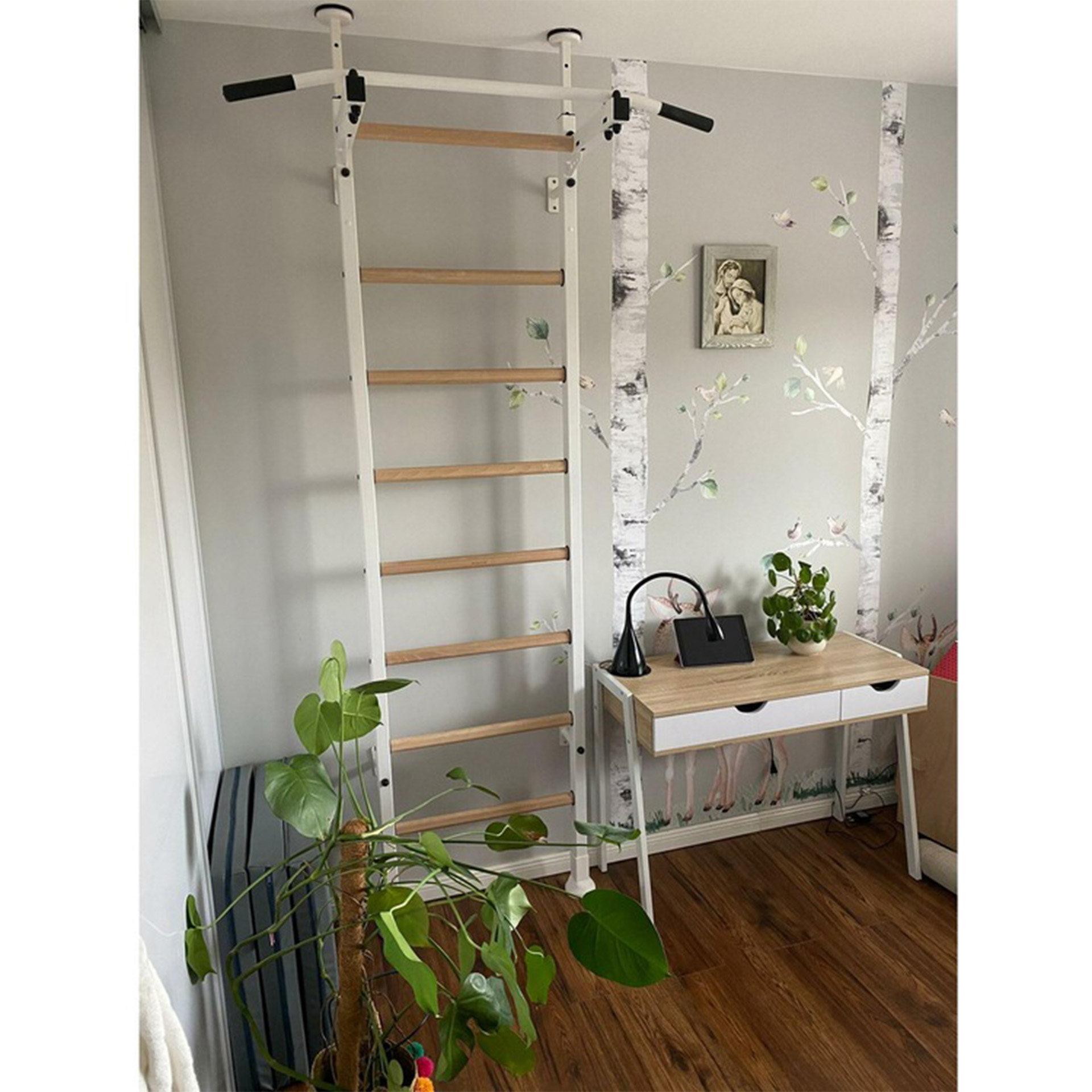 BenchK con barella da 521W 6 Espalier 521W BenchK 81042