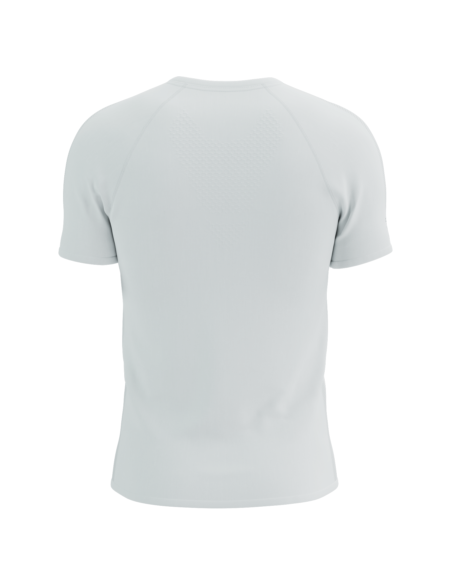 Heren SS Training functioneel T-shirt Compressport 31259