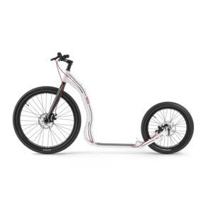 Scooter deportivo para adultos Trexx Disc Yedoo 7683