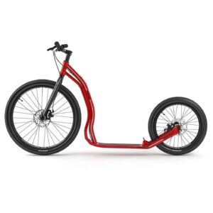 Scooter deportivo Trexx Disc Yedoo para adultos 80947