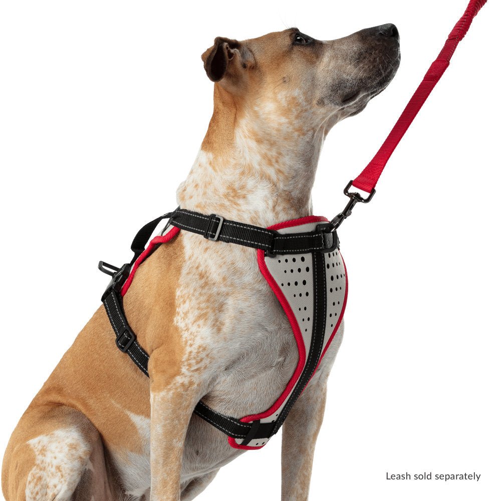 Hundegeschirr "K9 Serie" Nathan 4 Hundegeschirr K9 Serie Nathan 33775