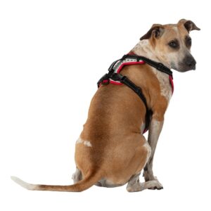 Hundegeschirr "K9 Serie" Nathan 10 Hundegeschirr K9 Serie Nathan 52410