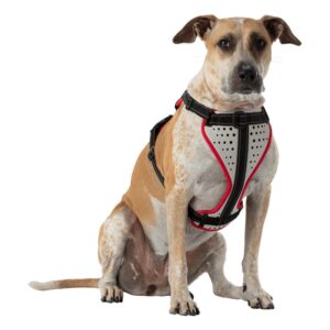 Hundegeschirr "K9 Serie" Nathan 8 Hundegeschirr K9 Serie Nathan 61026