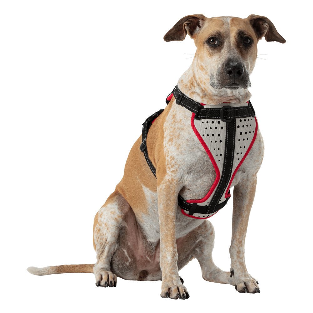 Hundegeschirr "K9 Serie" Nathan 3 Hundegeschirr K9 Serie Nathan 61026