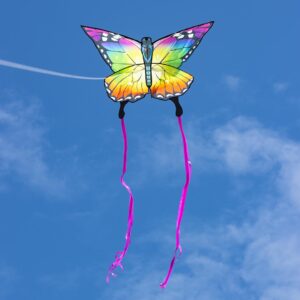 Papagaio arco-íris borboleta HQ invento 6 HQ invento Papagaio arco-íris borboleta 78317