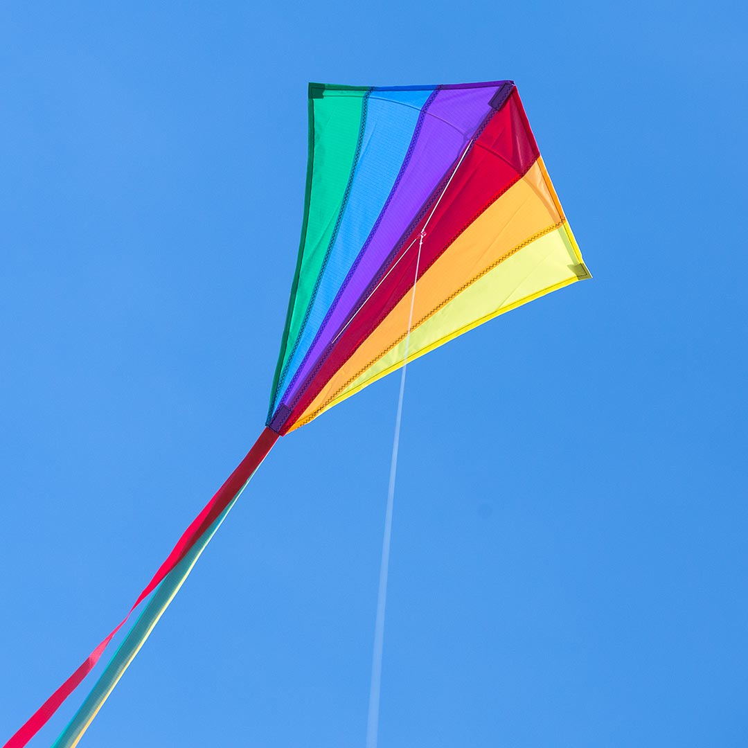 Papagaio "Eddy Rainbow 70cm HQ invento 4 HQ invento Papagaio Eddy Rainbow 70cm 2063