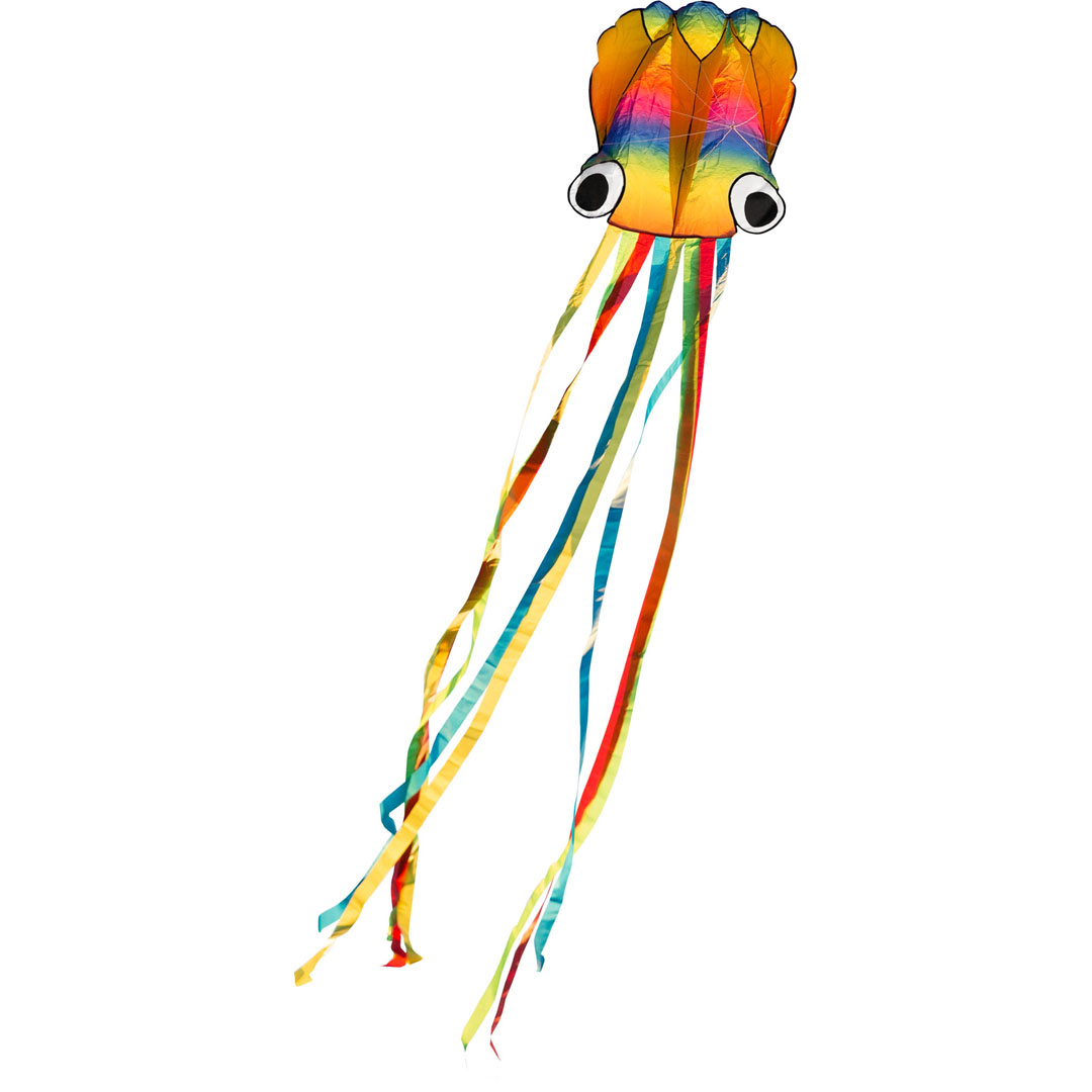 Rainbow Octopus kite HQ invento 32547