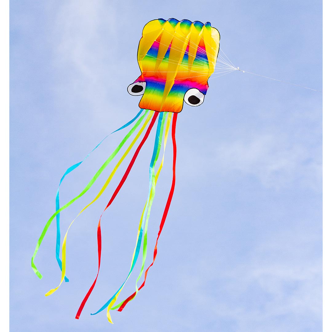 Rainbow Octopus kite HQ invento 35875