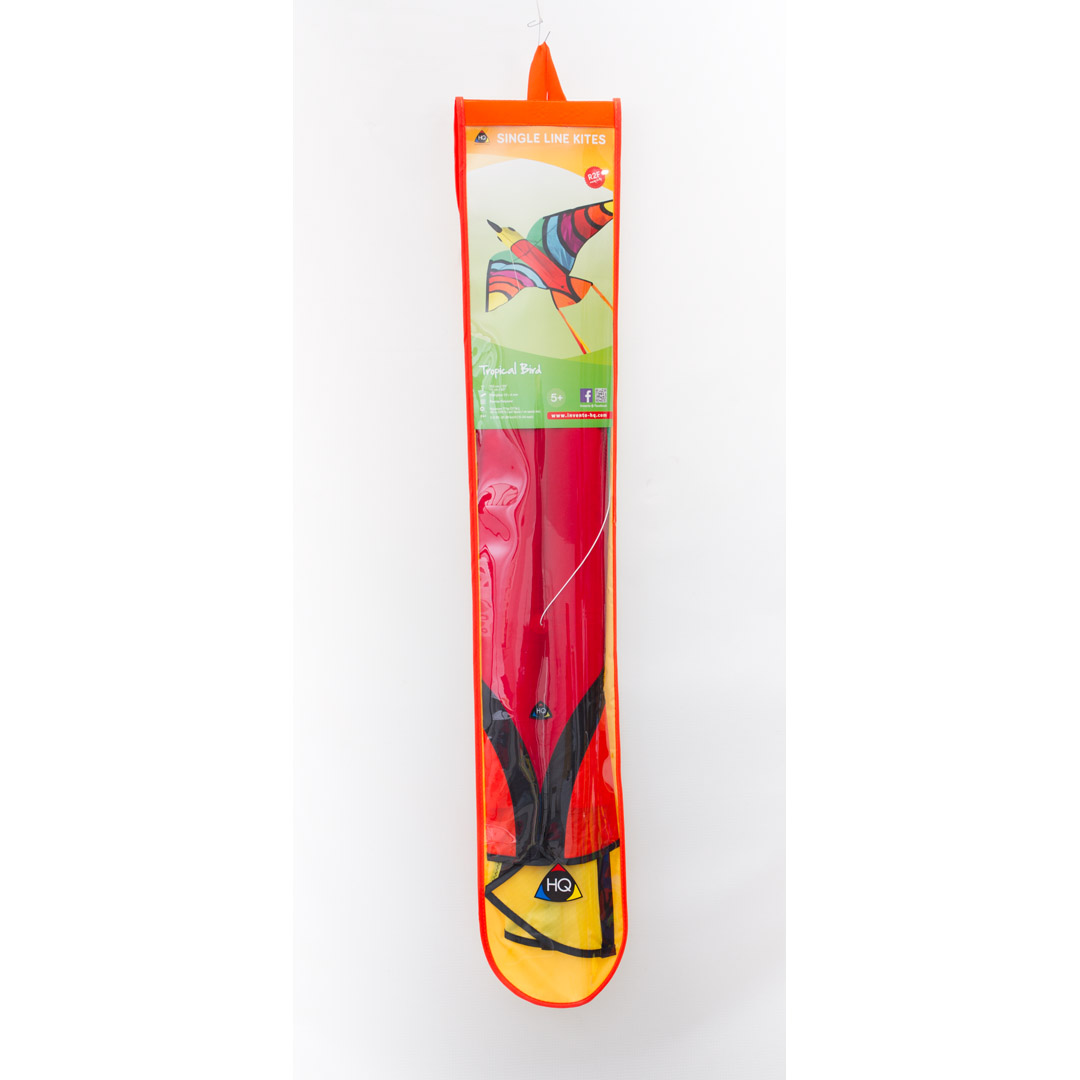 HQ invento Papagaio pássaro tropical 23732