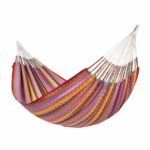 Violeta