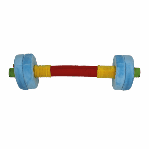 FitKidz Set staaf- en schuimschijven 31312