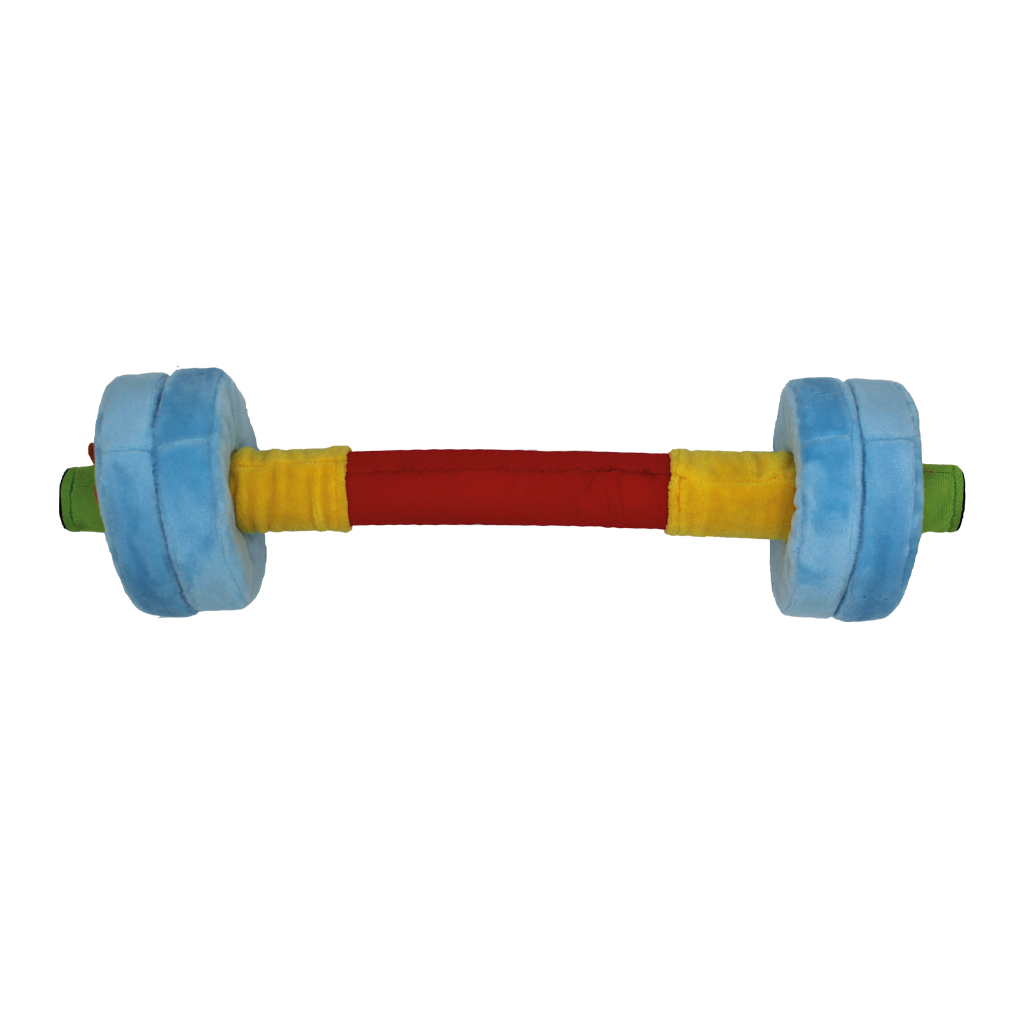 Juego de discos de barra y espuma FitKidz 1 FitKidz Juego de discos de barra y espuma 31312
