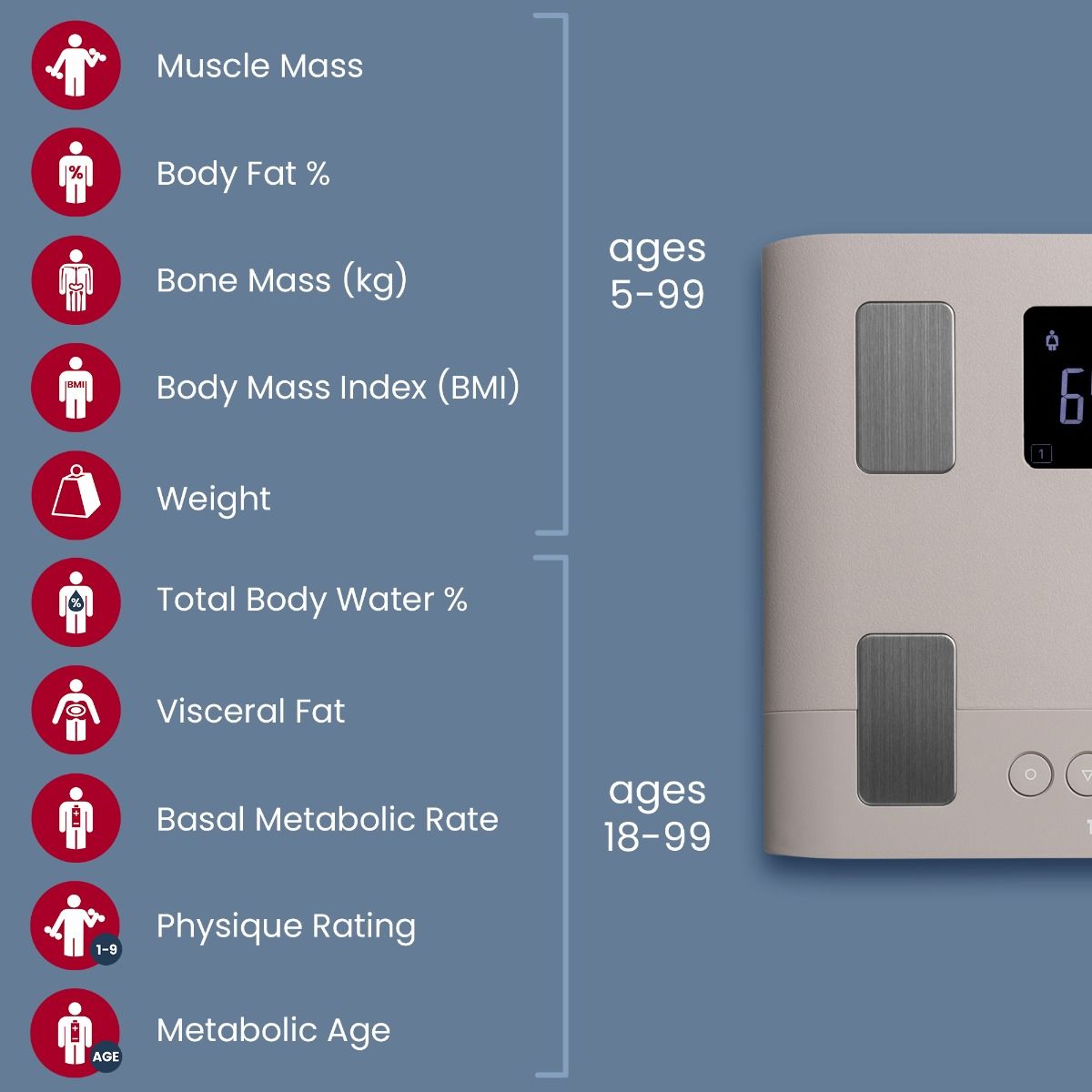 BC-333LE" smart scale Tanita 4 Connected bathroom scale BC 333LE Tanita 61038