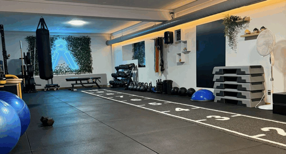Duck gym 1 1