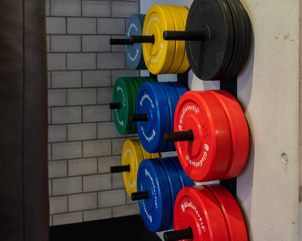 fribourg olympique rangement disques