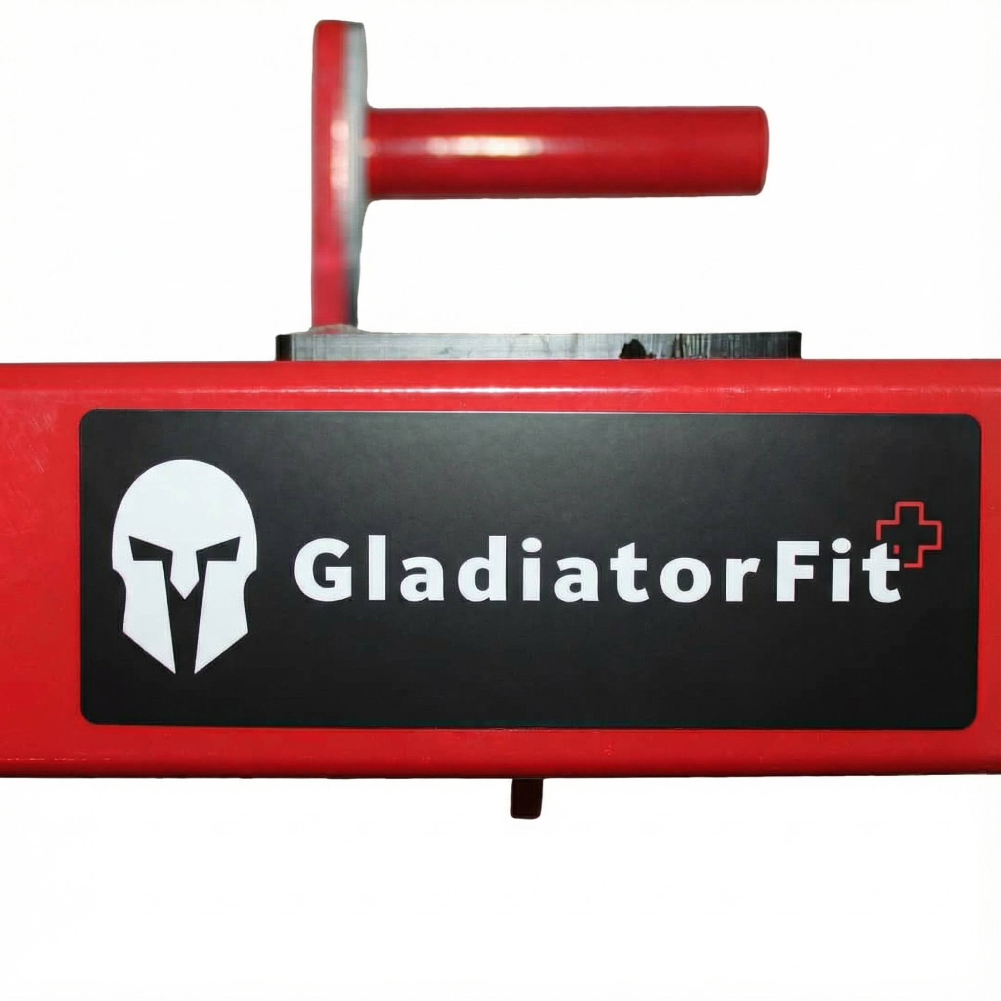 Stazione di supporto per dip regolabile per rack GladiatorFit 10 Stazione di supporto per dip regolabile per rack GladiatorFit - immagine 10