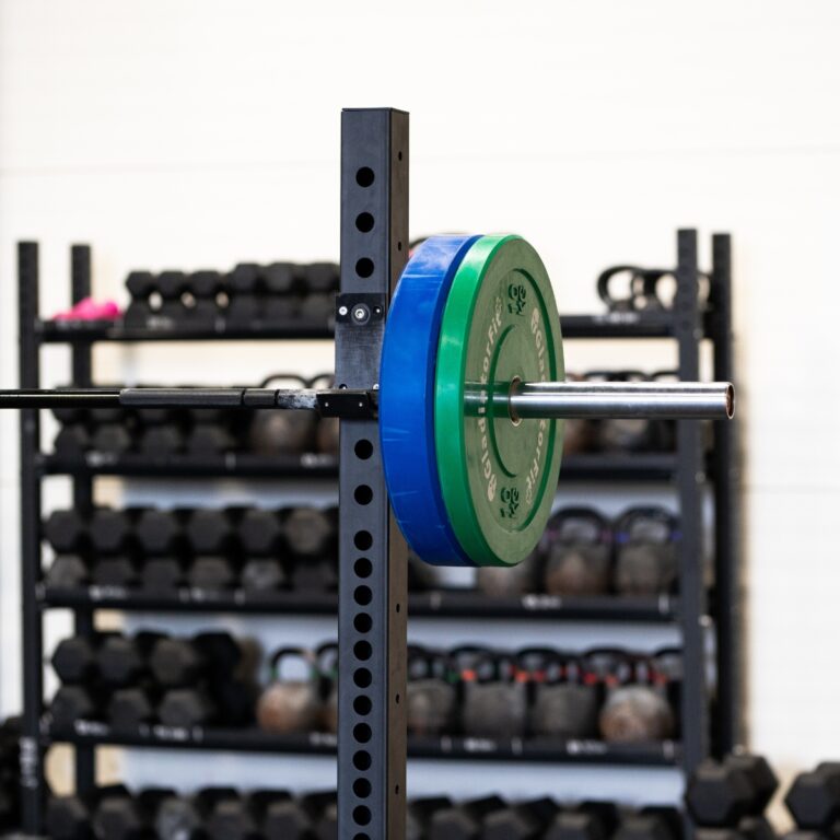WildMountain Barbell GladiatorFit