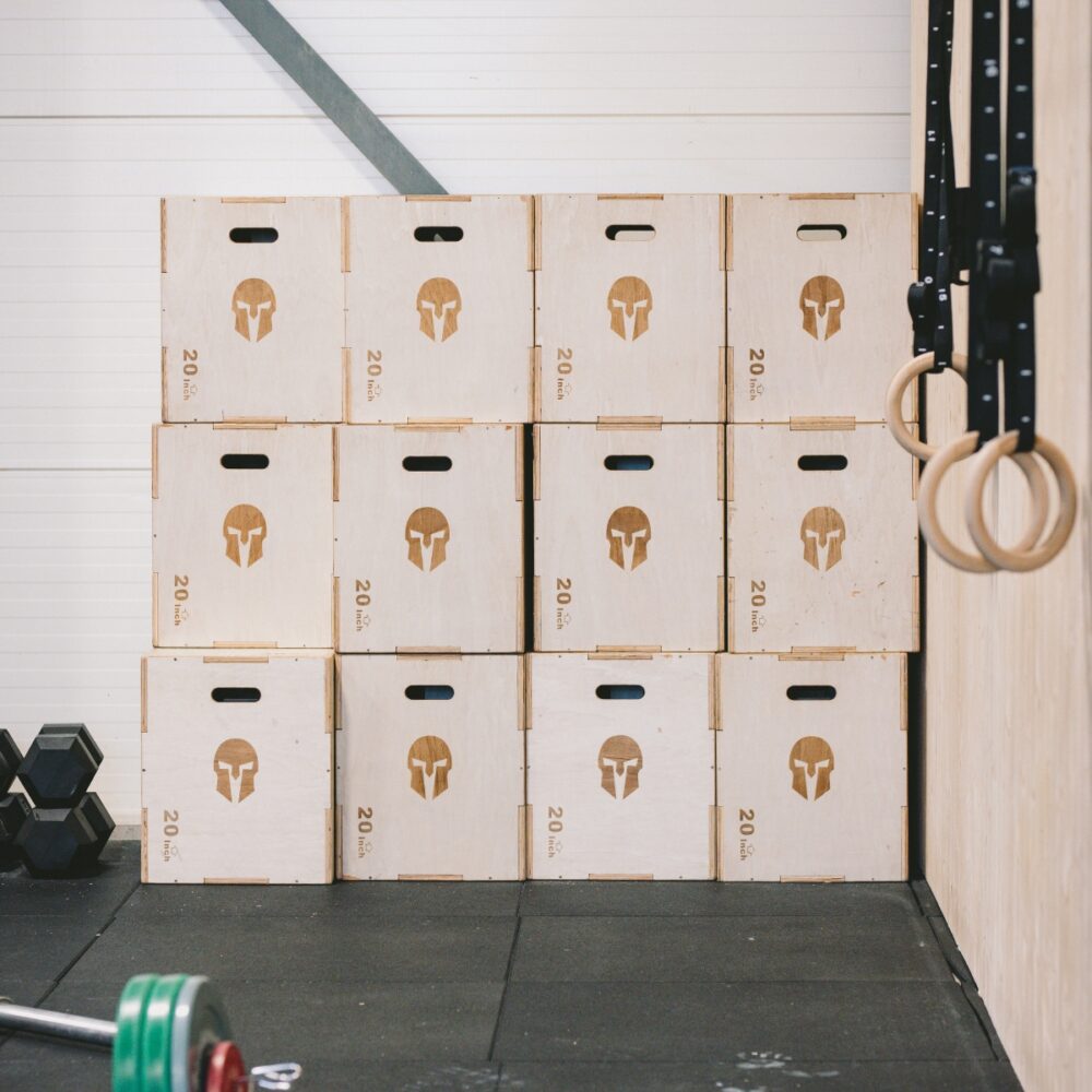 WildMountain PlyoBox GladiatorFit