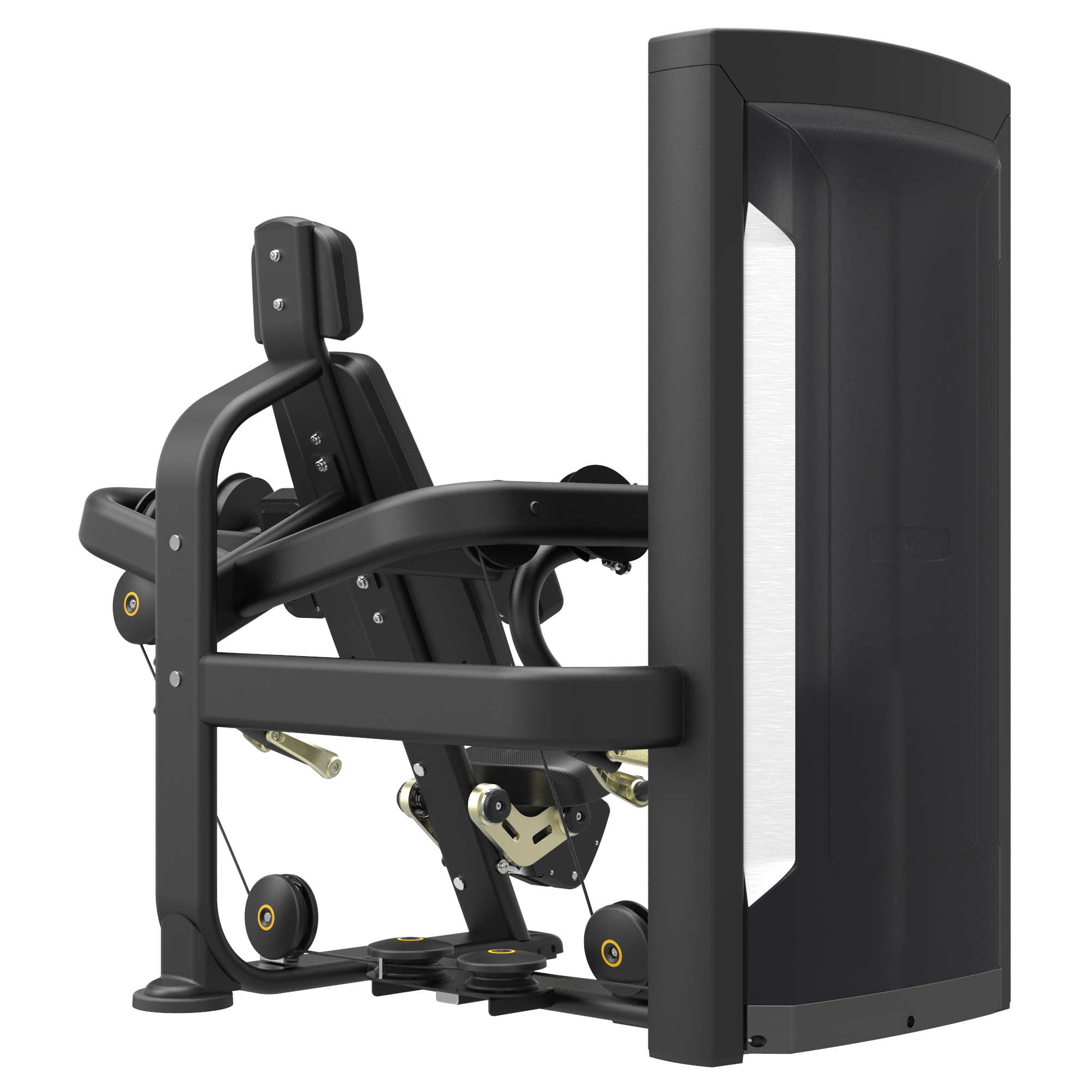 Stations bras "Arm Curl" 9703 Impulse Fitness 2 Stations bras "Arm Curl" 9703 Impulse Fitness – Image 2