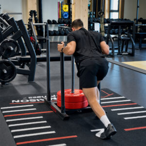GladiatorFit "Sled" trenó de velocidade em aço 10 GladiatorFit "Sled" trenó de velocidade em aço - Thumbnail Image 4