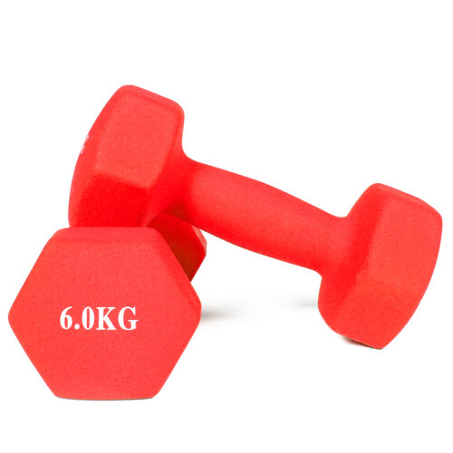 Haltères néoprène musculation et fitness GladiatorFit (lot de 2) - 2 x 6 KG | Seconde Vie